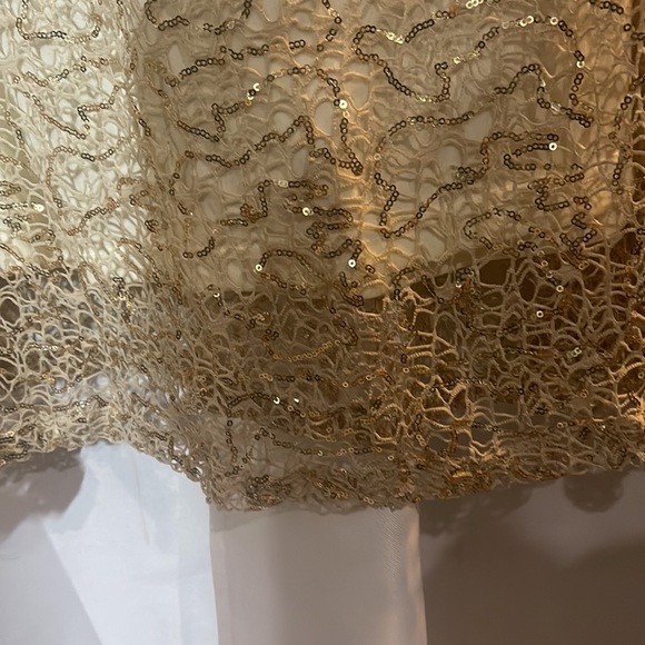 New with tags cream evening gown with champagne gold sequined overlay lace. - Picture 13 of 13